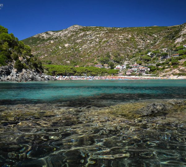 Fetovaia