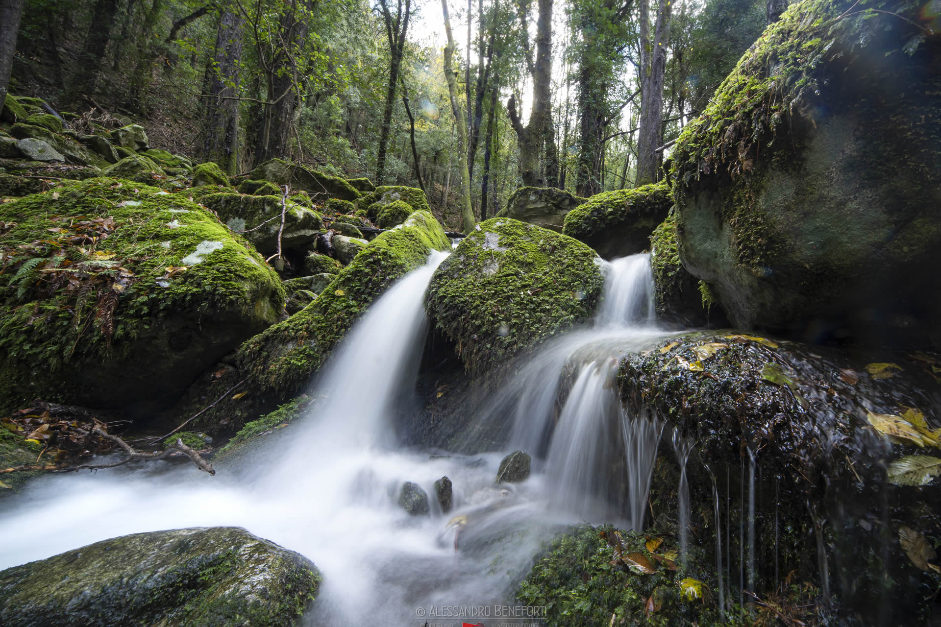 Tra sentieri e panorami: trekking e natura a Campo nell’Elba