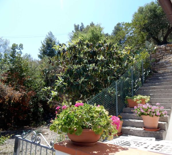 Appartamenti dal Catta