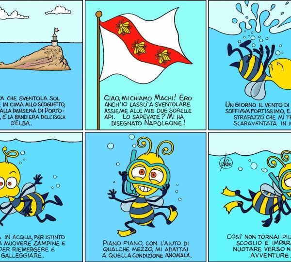 Machi di Mare